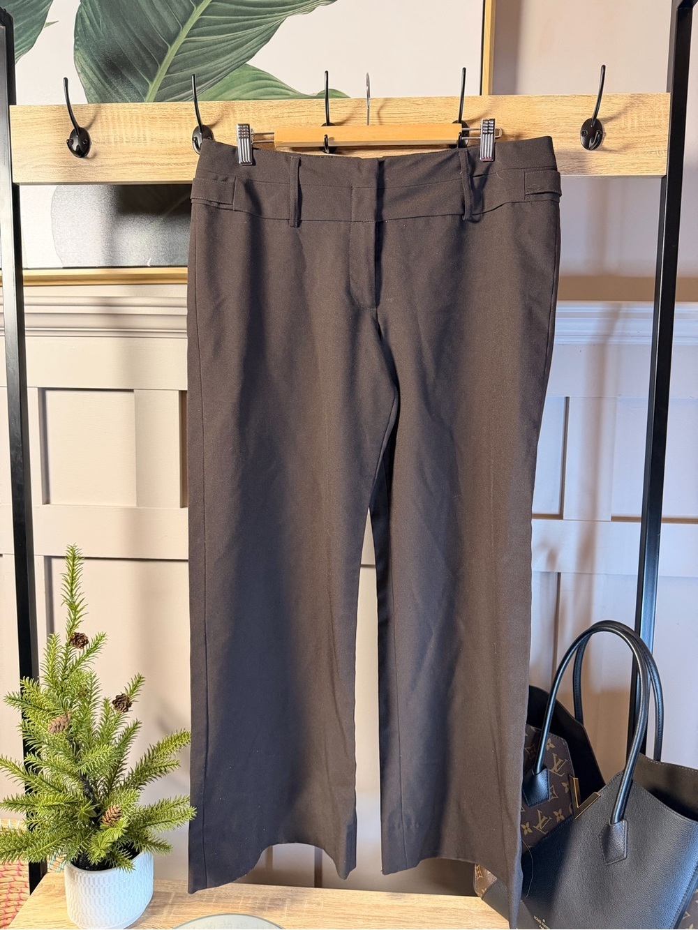 Women's California Womens Dress Pants, Size 14 Black Regular Fit